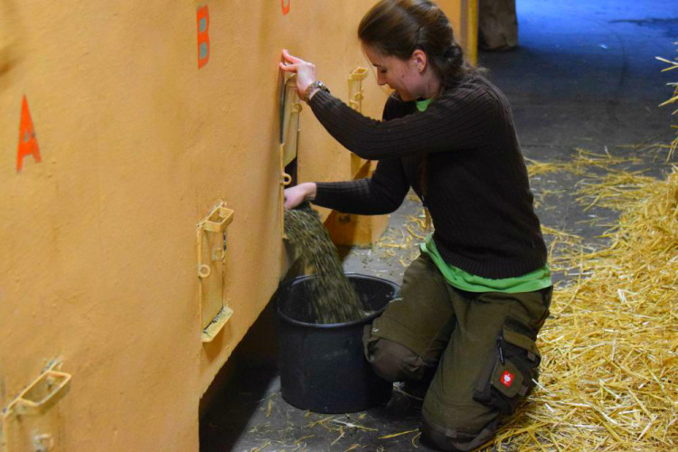 Den s ošetřovatelem: Zoo má dvě tváře. Zvířata se chovají jinak, když i my jdeme domů