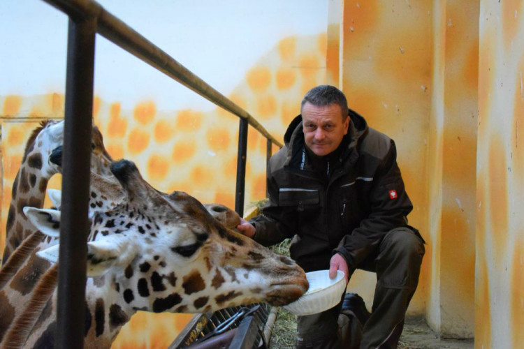 Den s ošetřovatelem: Zoo má dvě tváře. Zvířata se chovají jinak, když i my jdeme domů