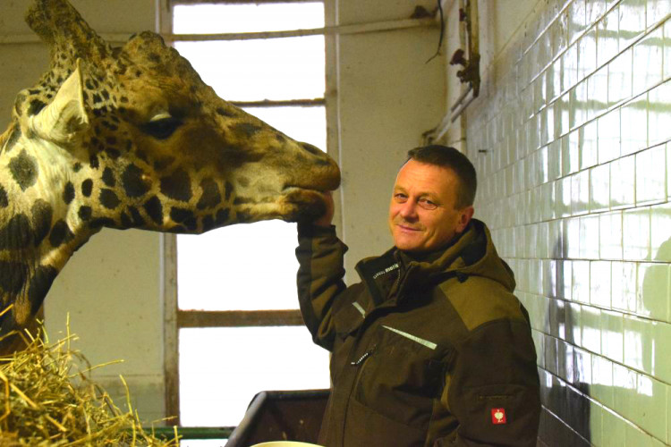 Den s ošetřovatelem: Zoo má dvě tváře. Zvířata se chovají jinak, když i my jdeme domů