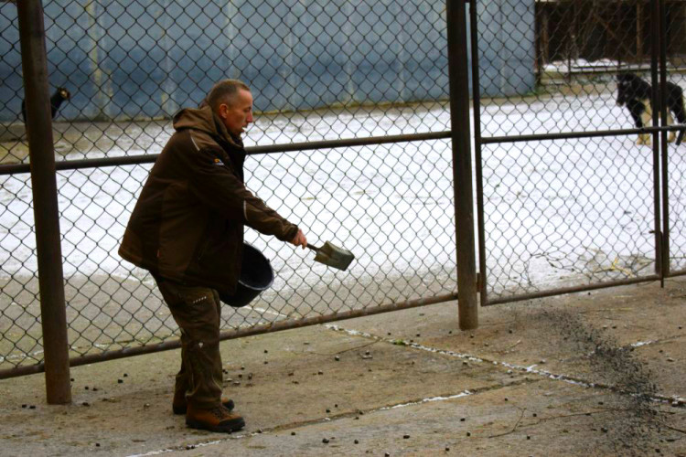 Den s ošetřovatelem: Zoo má dvě tváře. Zvířata se chovají jinak, když i my jdeme domů