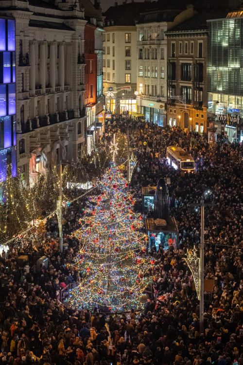 Autor: Michal Růžička, TIC Brno