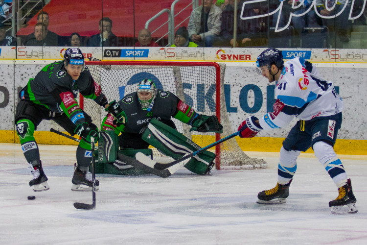 Bílí Tygři Liberec vs. BK Mladá Boleslav (32. kolo extraligy)