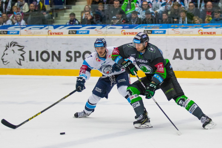 Bílí Tygři Liberec vs. BK Mladá Boleslav (32. kolo extraligy)