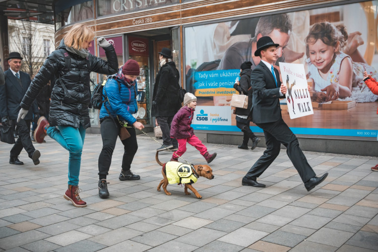 Silly Walk Brno 2019, Autor: Lucie Šiprová