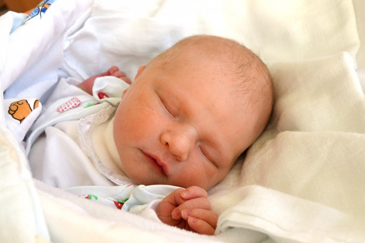 Čuříková Viktorie