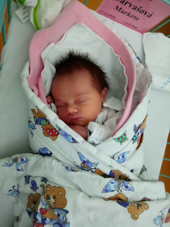 Darvašová Markéta