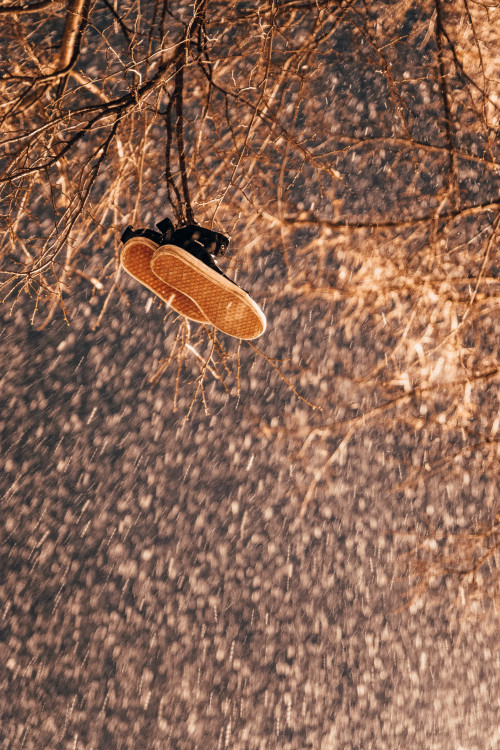 Zasněžené Budějce