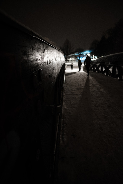 Zasněžené Budějce. Foto: Matěj Krejza