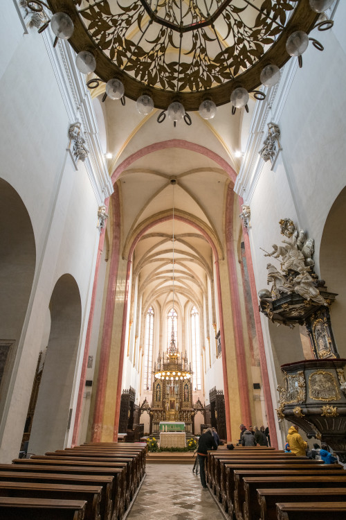 Vědci objevili v Budějcích ostatky zpovědníka Jindřicha Libraria