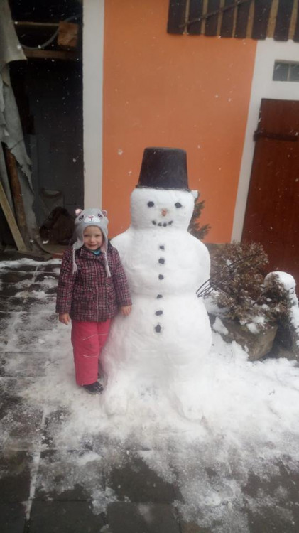 Jihočeši staví sněhuláky