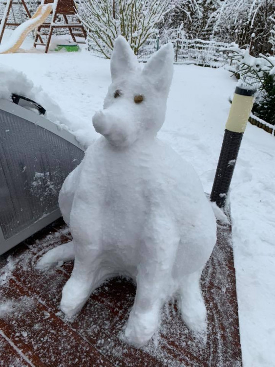 Jihočeši staví sněhuláky