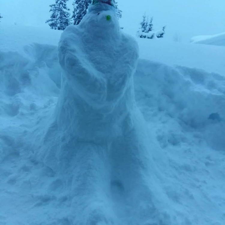 Jihočeši staví sněhuláky