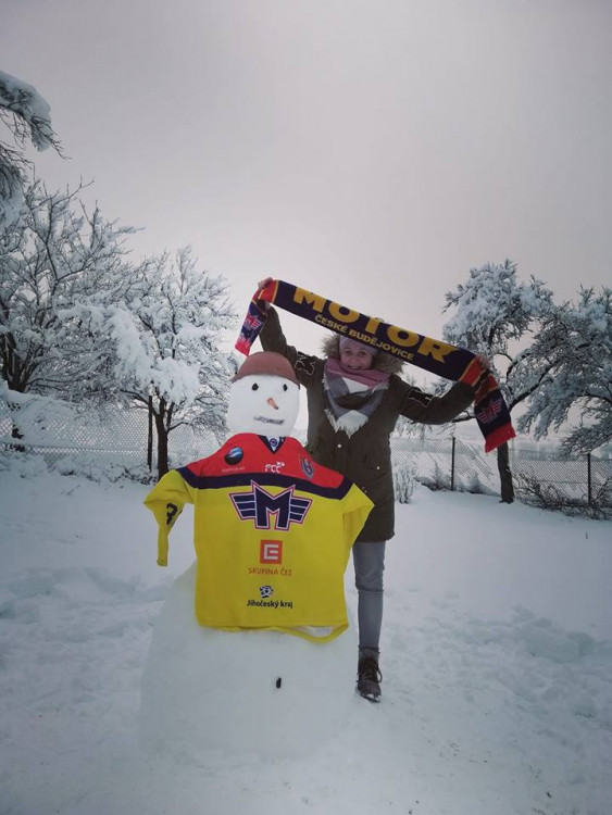 Jihočeši staví sněhuláky