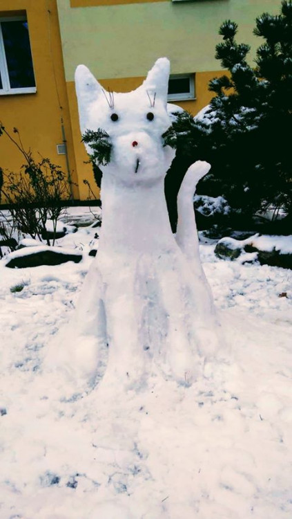 Jihočeši staví sněhuláky