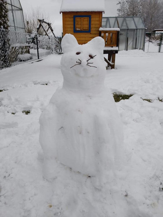 Jihočeši staví sněhuláky