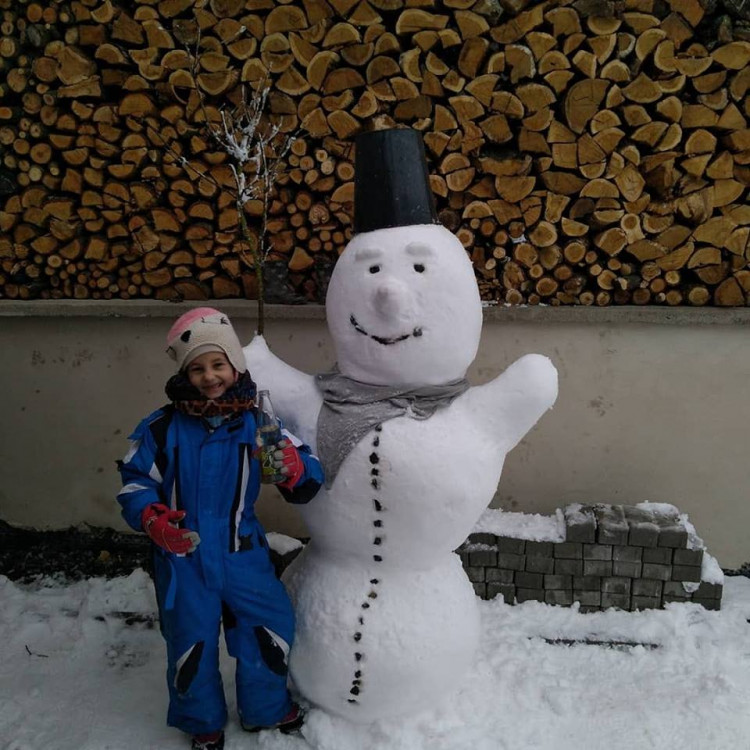 Jihočeši staví sněhuláky