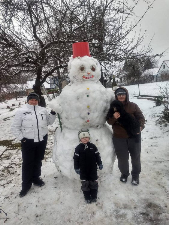 Jihočeši staví sněhuláky