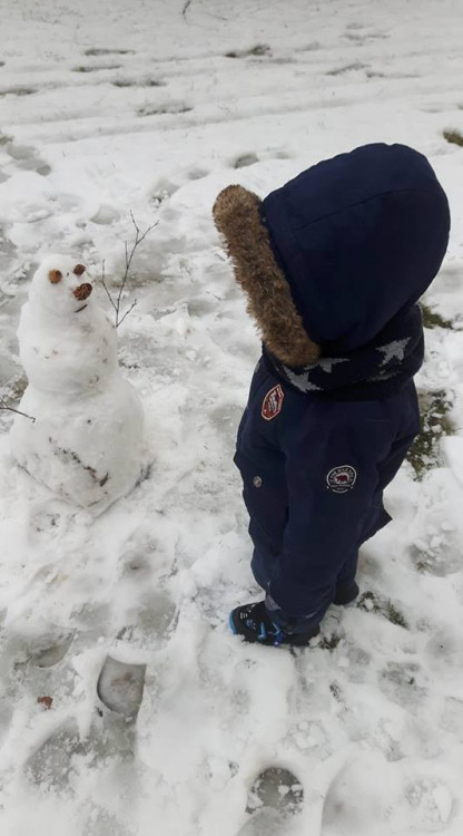 Jihočeši staví sněhuláky
