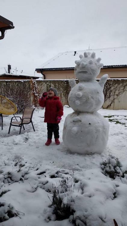 Jihočeši staví sněhuláky