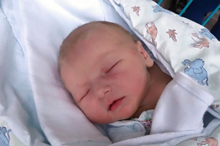 Molnárová Viktorie