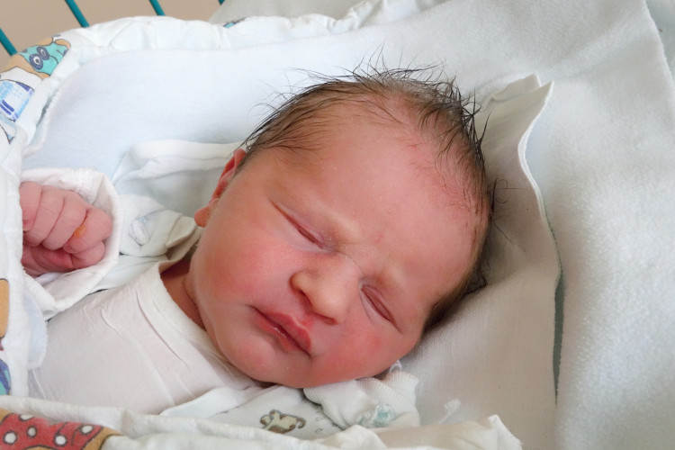 Vaněčková Viktorie