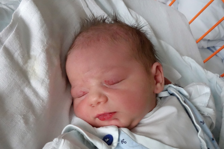 Vorlíčková Valerie