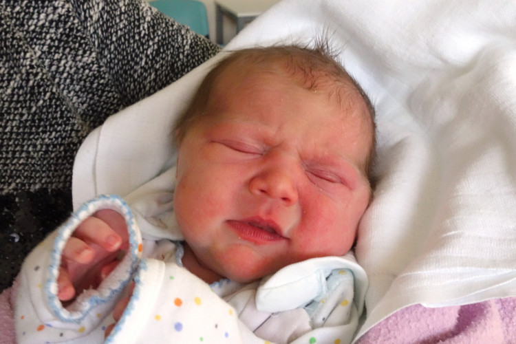 Huličková Linda Hedvika