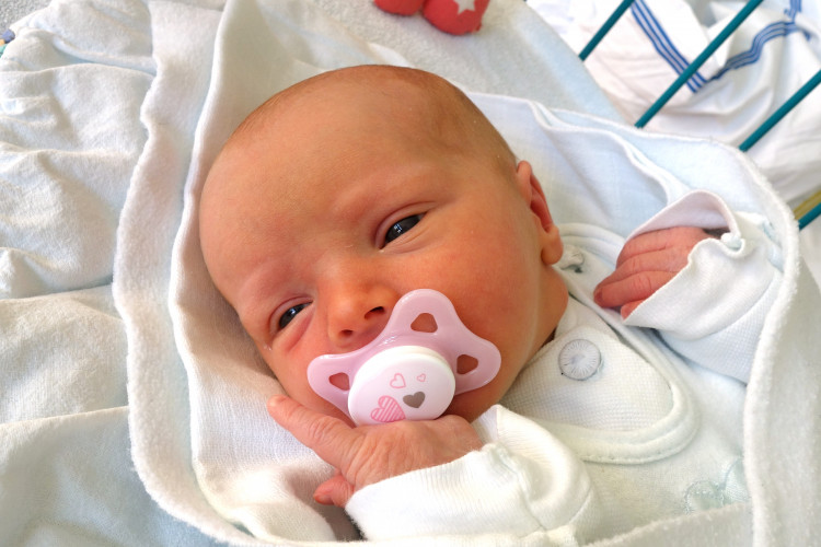 Kalkušová Karolína