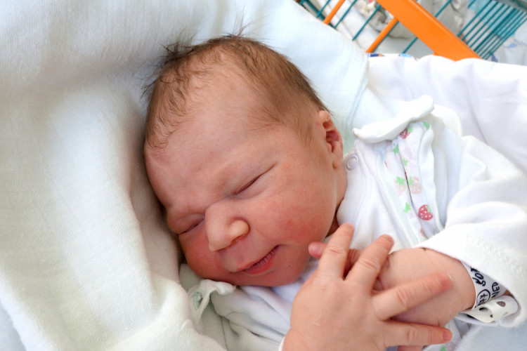 Šortnerová Valérie