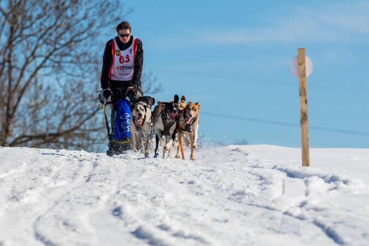 Zásadský Sprint a Mid