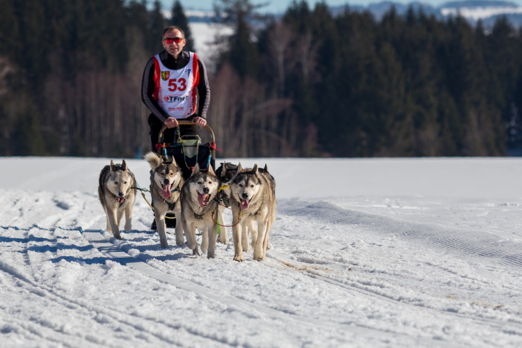 Zásadský Sprint a Mid
