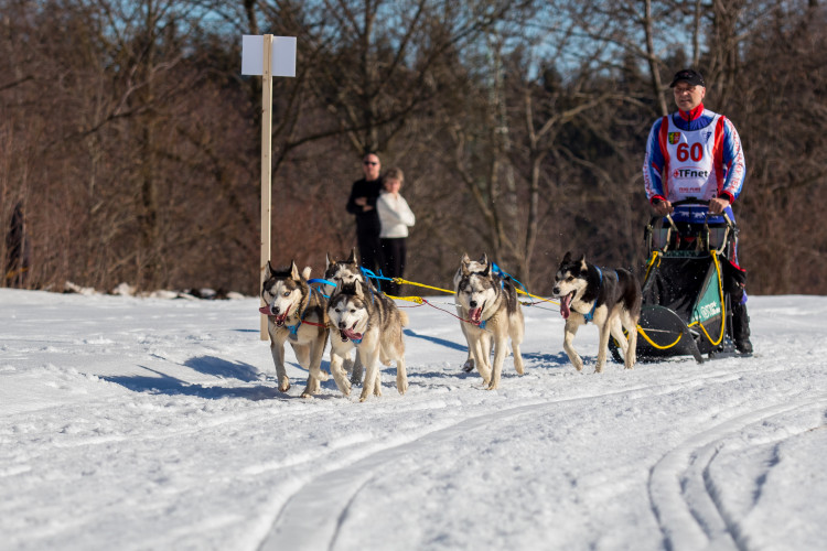 Zásadský Sprint a Mid