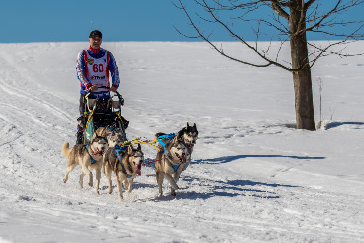 Zásadský Sprint a Mid