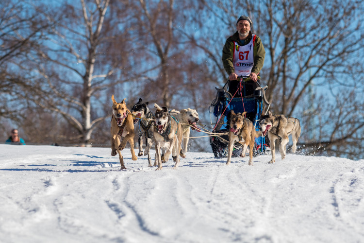 Zásadský Sprint a Mid