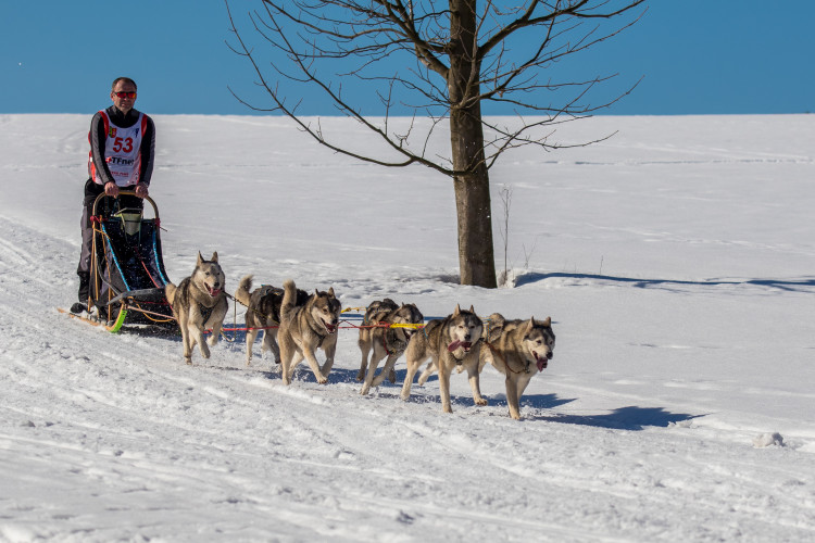 Zásadský Sprint a Mid
