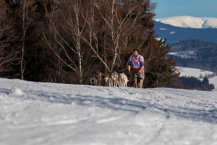 Zásadský Sprint a Mid