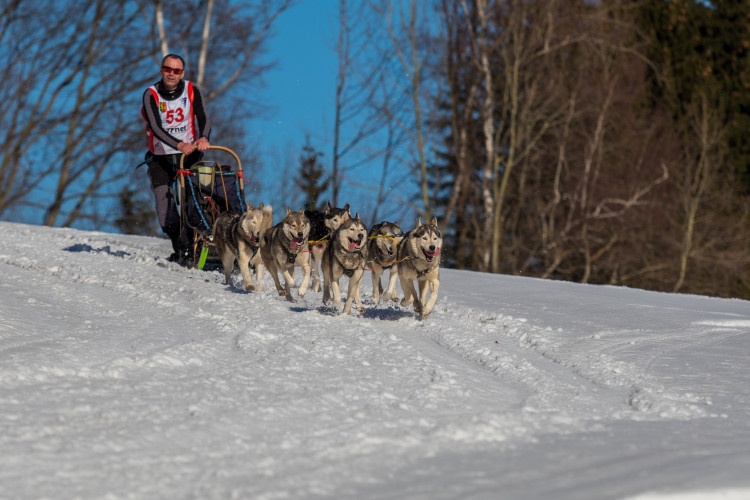 Zásadský Sprint a Mid