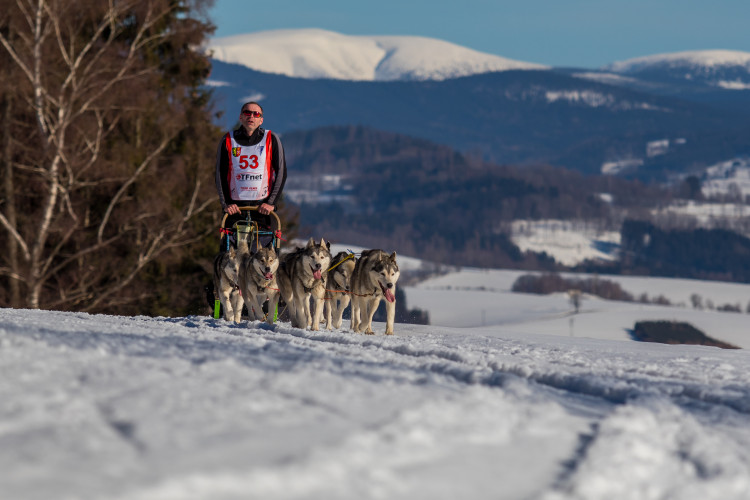 Zásadský Sprint a Mid