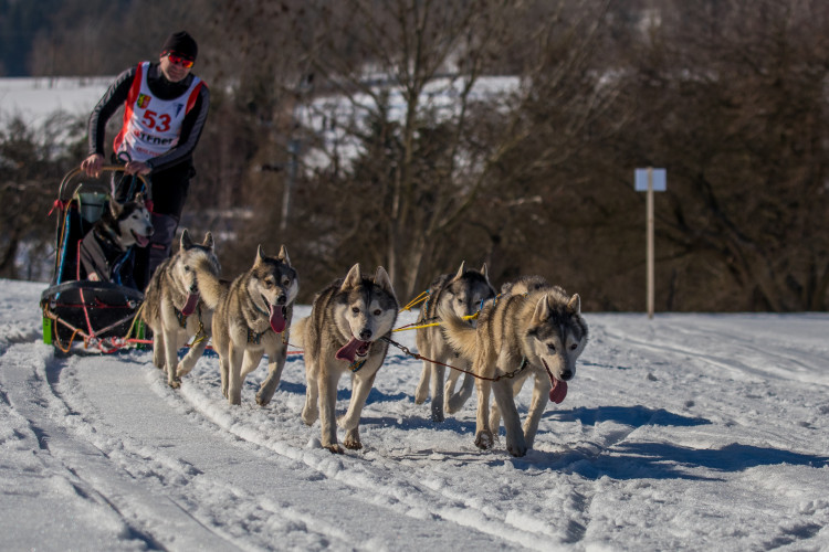 Zásadský Sprint a Mid