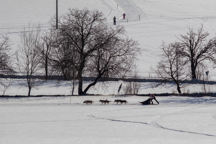 Zásadský Sprint a Mid