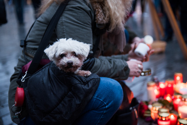 Nezabudneme, pokračujeme. Lidé si v Brně připomenuli zavražděného novináře a jeho snoubenku, autor: Tomáš Hrivňák
