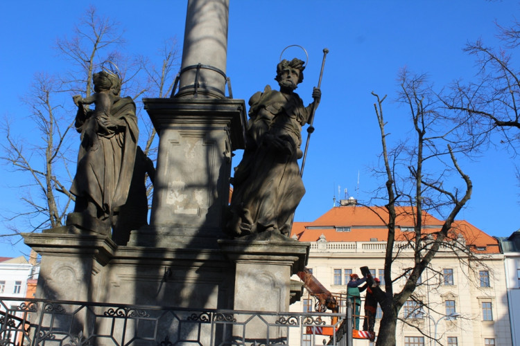 Kácení lip na Masarykově náměstí