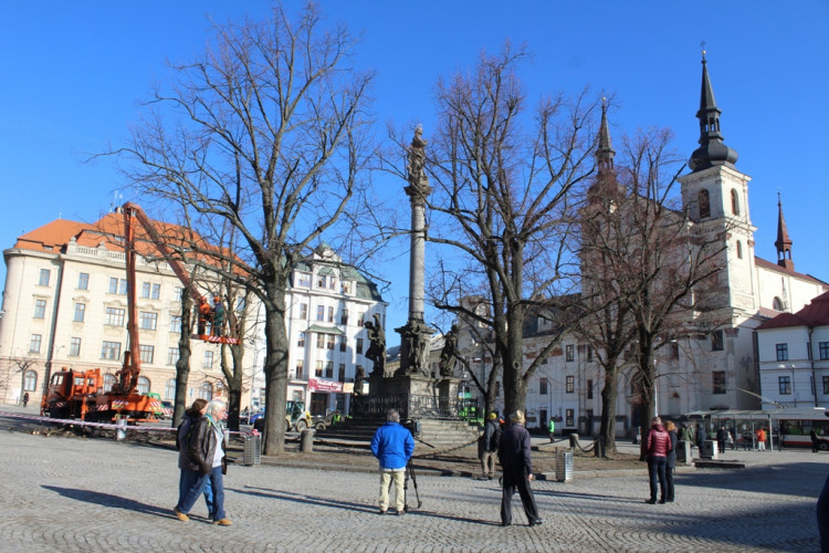 Kácení lip na Masarykově náměstí