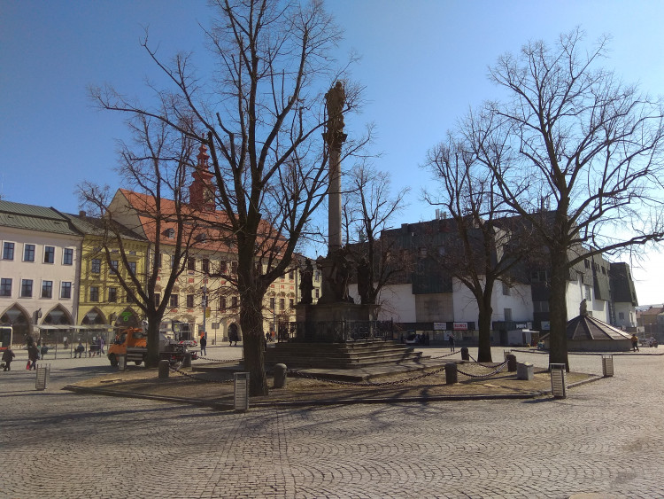 Kácení lip na Masarykově náměstí