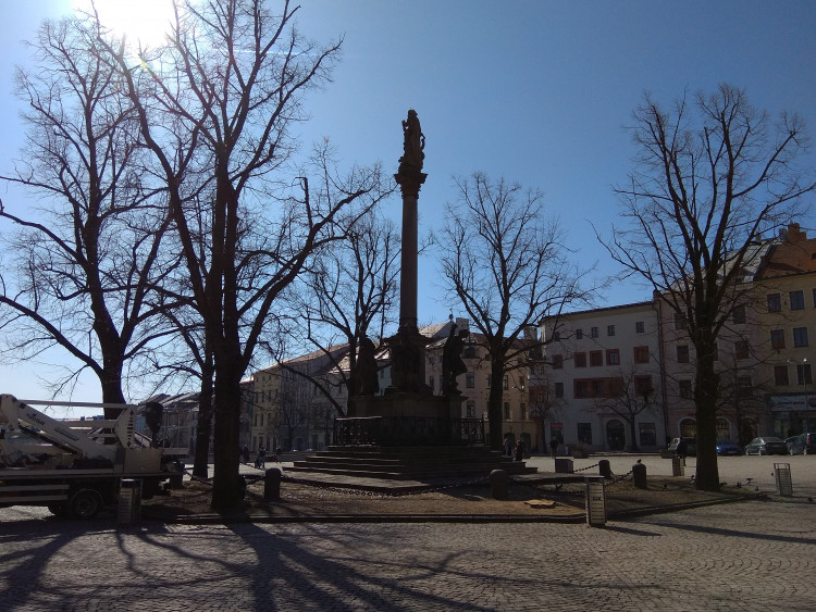 Kácení lip na Masarykově náměstí