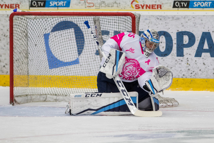 Bílí Tygři dnes Brno neporazili