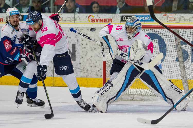 Bílí Tygři dnes Brno neporazili