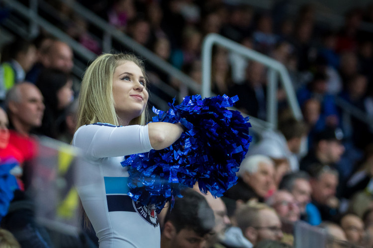 Bílí Tygři dnes Brno neporazili