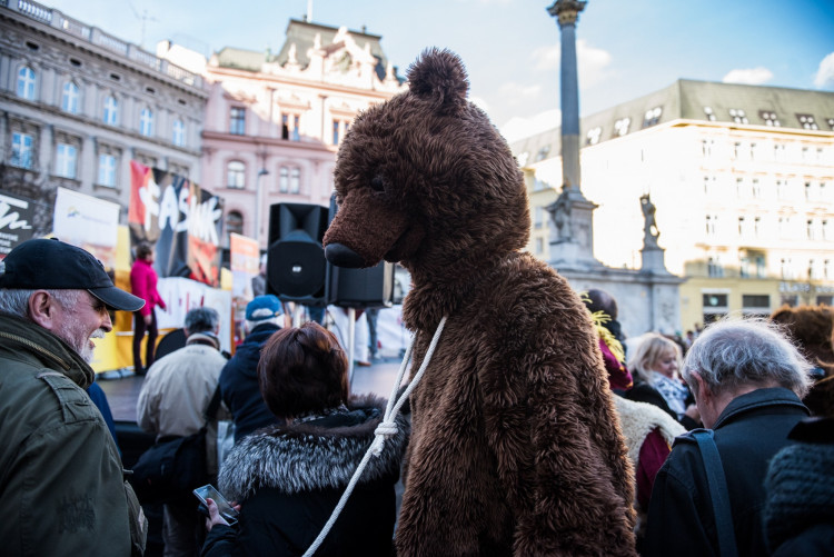 Do Brna zavítal fašank, autor: Tomáš Hrivňák