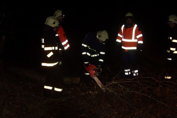Vítr lámal stromy, hasiči se nezastavili